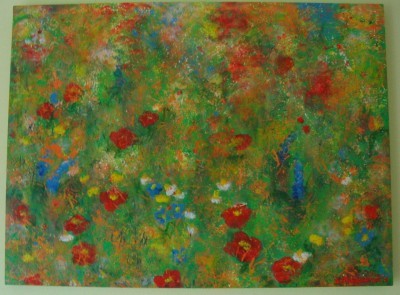 Lúka 80x60....PREDANÝ